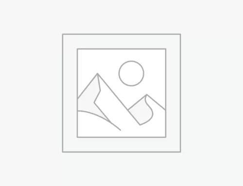 Sellerie Kühnen : l’amour inconditionnel pour les chevaux